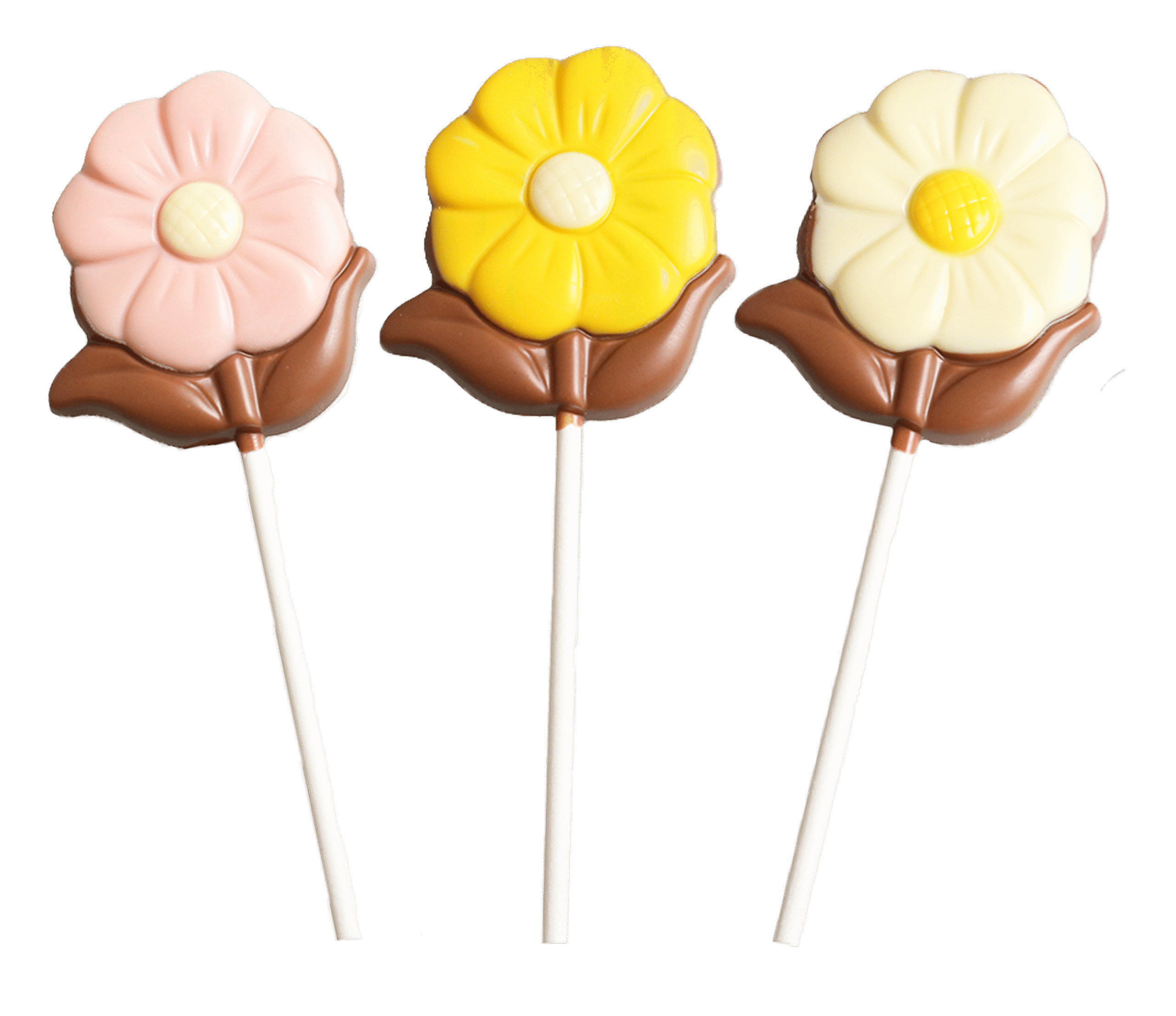 Chokladklubba Blomma